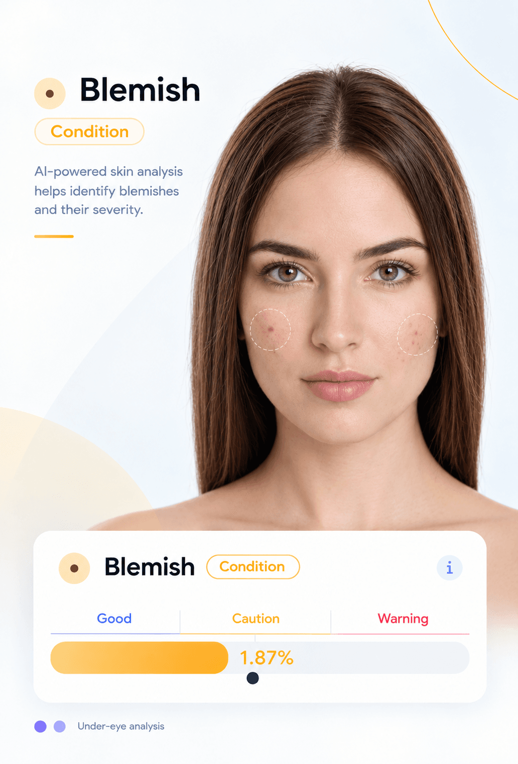 SKENEV blemish analysis case study