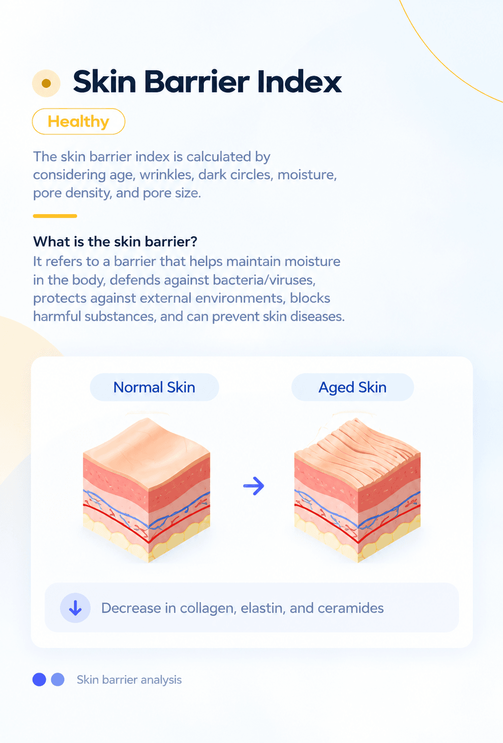 AI Skin Analysis
